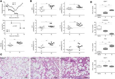 Gentamicin Induced Microbiome Adaptations Associate With Increased BCAA Levels and Enhance Severity of Influenza Infection